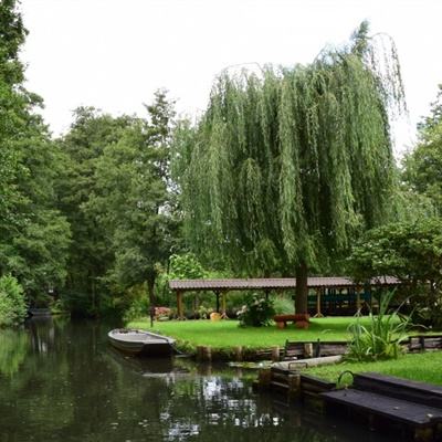 大发dafa888下载手机版